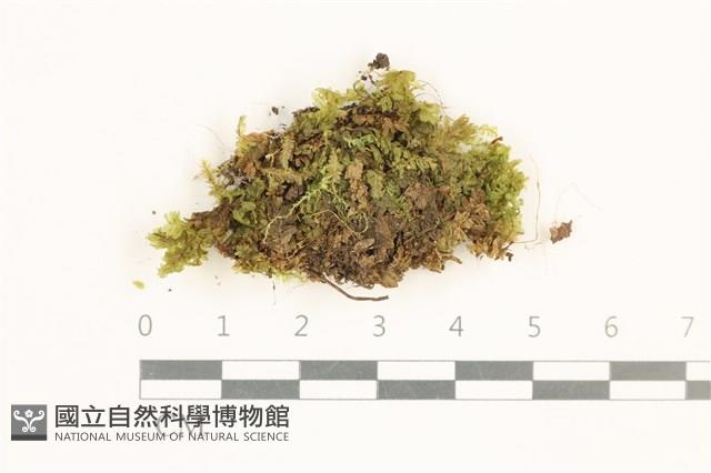 登錄號:B00013398藏品圖，第1張