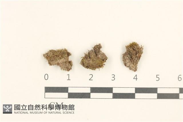 登錄號:B00003398藏品圖，第1張