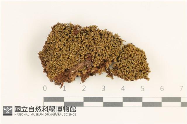 登錄號:B00010798藏品圖，第1張