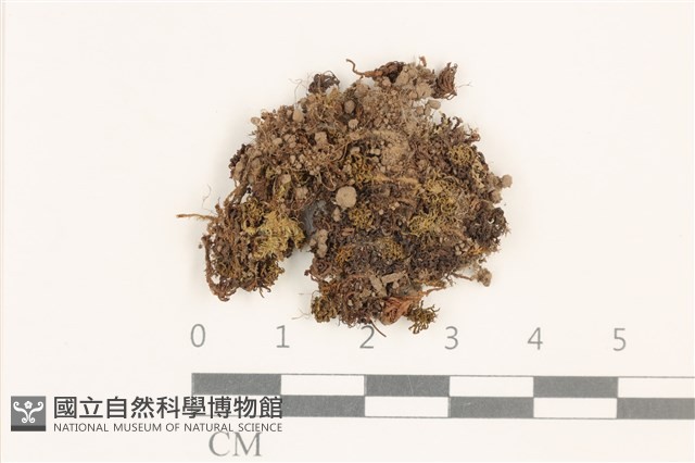 登錄號:B00014648藏品圖，第1張