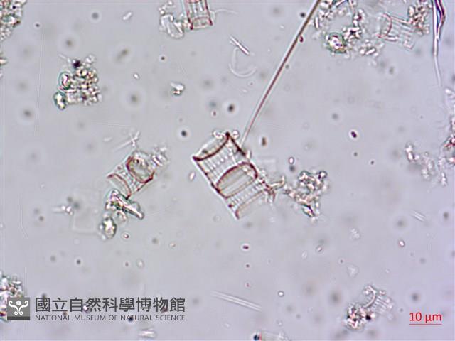 館號:A00004648藏品圖，第4張