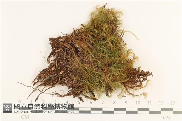 登錄號:B00006248藏品圖，第1張