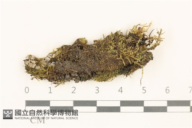 登錄號:B00015148藏品圖，第1張