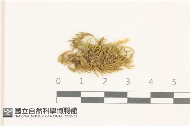 登錄號:B00014448藏品圖，第1張