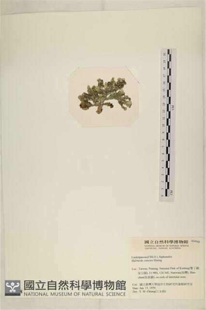 登錄號:A00004948藏品圖，第3張