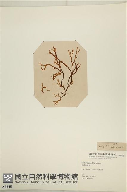 登錄號:A00003848藏品圖，第3張
