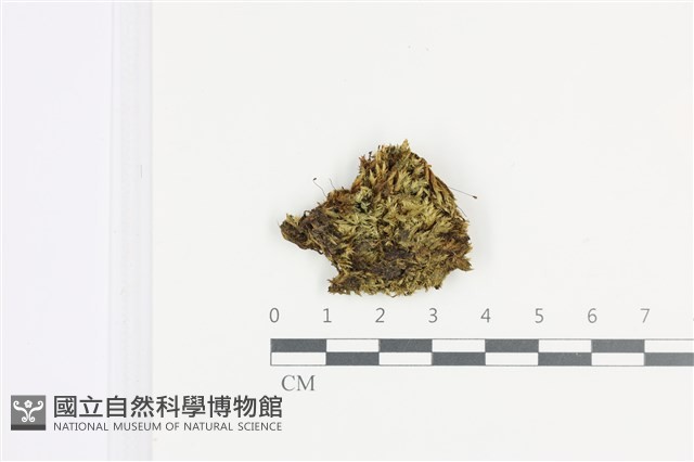 登錄號:B00000348藏品圖，第1張
