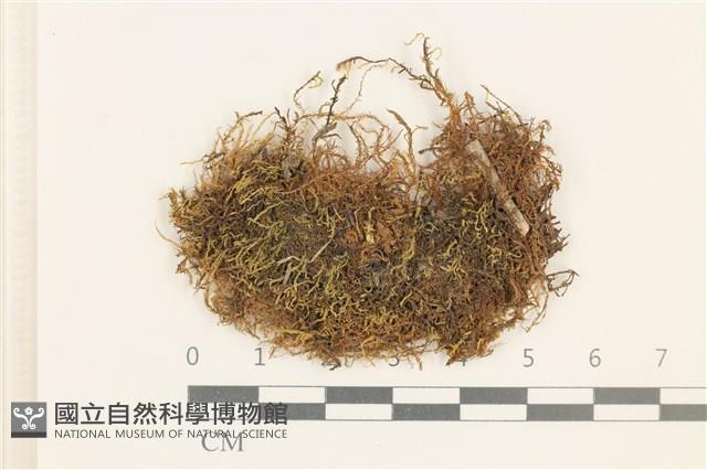 登錄號:B00006748藏品圖，第1張