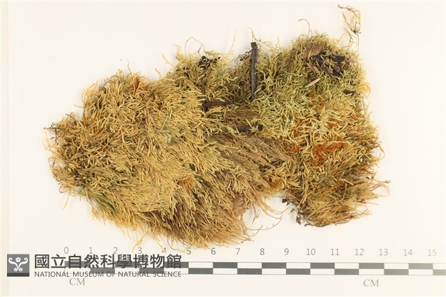 登錄號:B00010748藏品圖，第1張