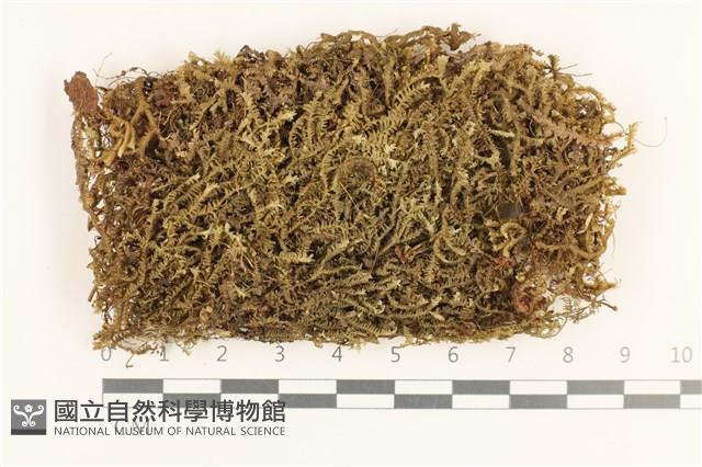 登錄號:B00000748藏品圖，第1張