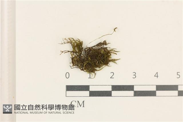 登錄號:B00018668藏品圖，第1張