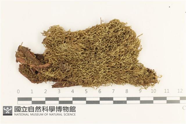登錄號:B00019668藏品圖，第1張