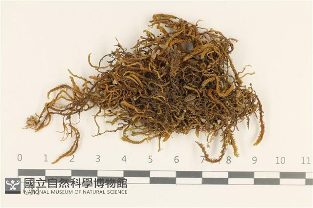 登錄號:B00016668藏品圖，第1張