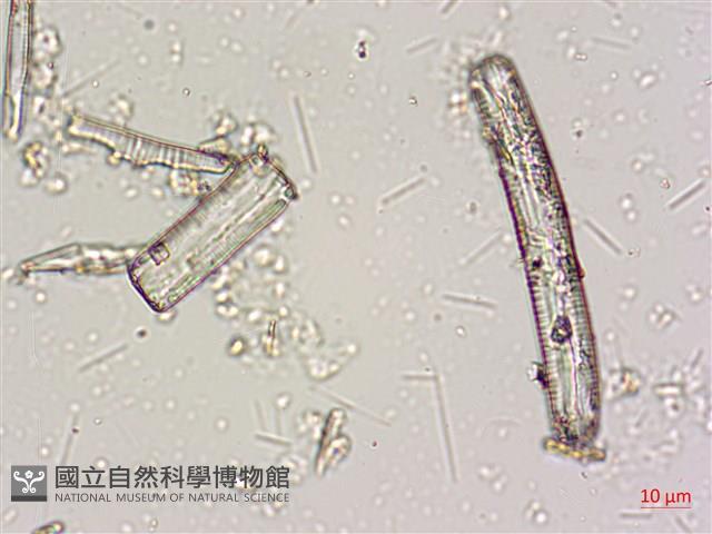 登錄號:A00004668藏品圖，第4張
