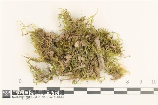 登錄號:B00013268藏品圖，第1張