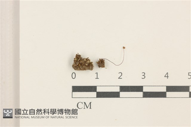 登錄號:B00014068藏品圖，第1張