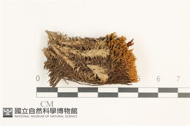 登錄號:B00018168藏品圖，第1張