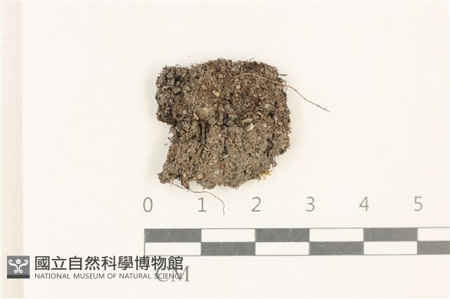 登錄號:B00015168藏品圖，第1張