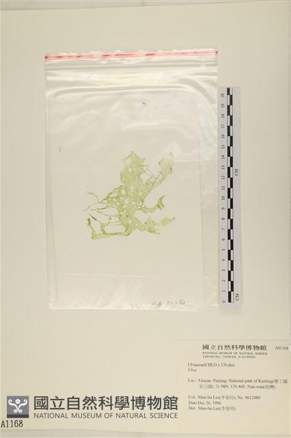 登錄號:A00001168藏品圖，第3張