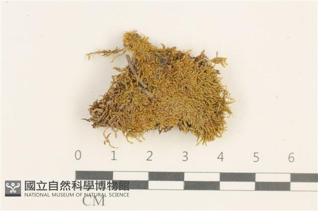 登錄號:B00003168藏品圖，第1張