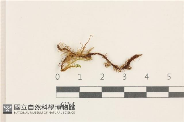 登錄號:B00017568藏品圖，第1張