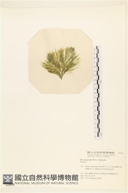 登錄號:A00004868藏品圖，第3張