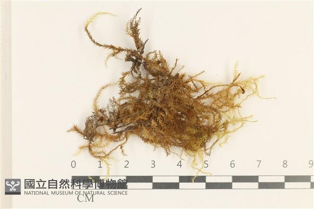 登錄號:B00014608藏品圖，第1張