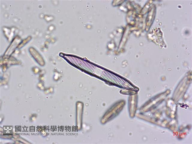 登錄號:A00004608藏品圖，第4張