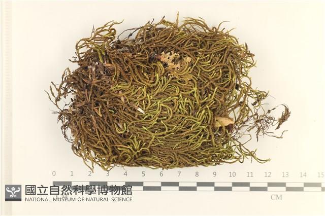 登錄號:B00006208藏品圖，第1張