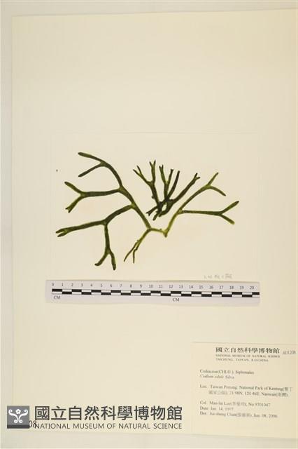登錄號:A00001208藏品圖，第1張