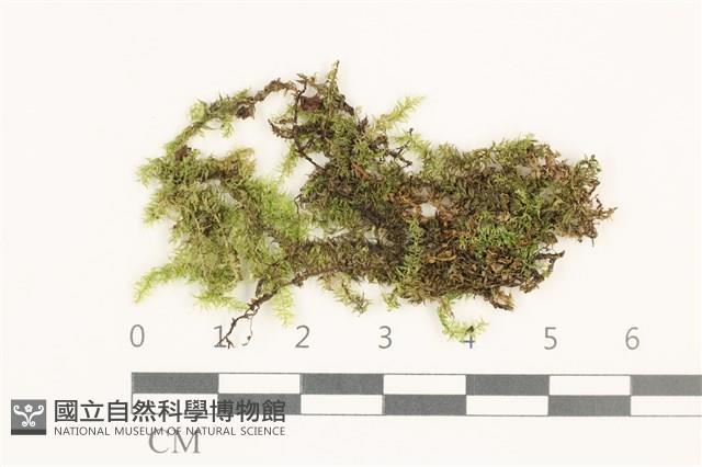 登錄號:B00020208藏品圖，第1張