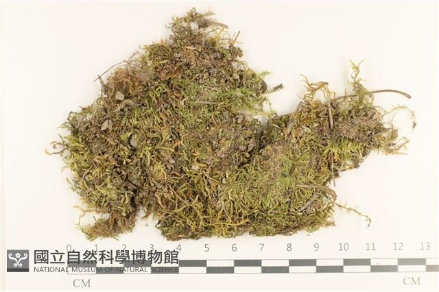 登錄號:B00013208藏品圖，第1張