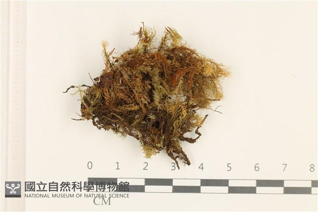 登錄號:B00003108藏品圖，第1張