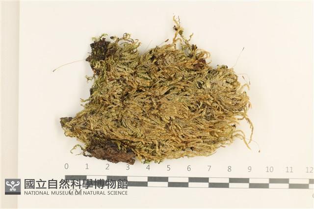 登錄號:B00009508藏品圖，第1張