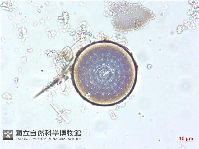 登錄號:A00004508藏品圖，第4張