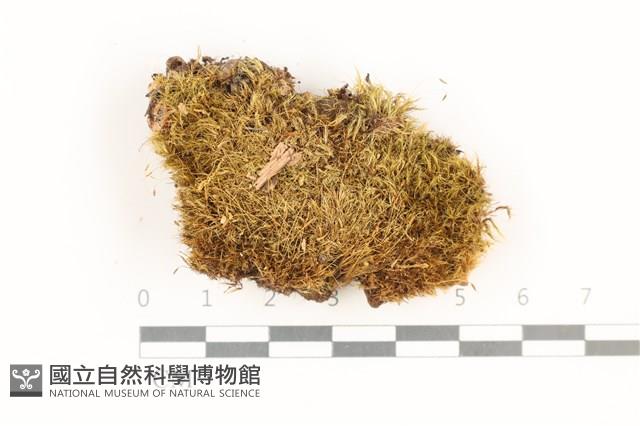 登錄號:B00017508藏品圖，第1張