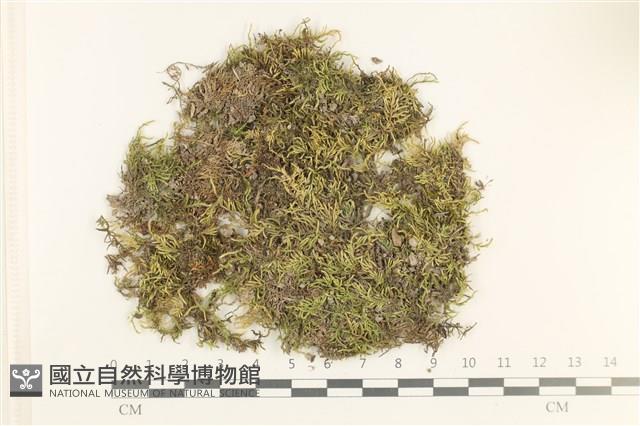 登錄號:B00012408藏品圖，第1張