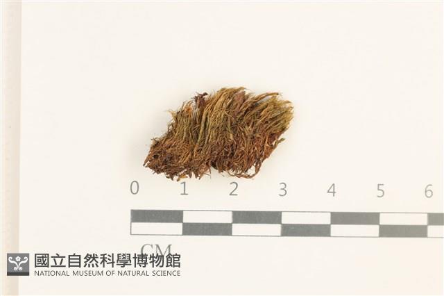 登錄號:B00018408藏品圖，第1張