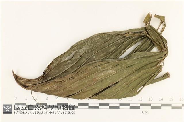 登錄號:B00008408藏品圖，第1張