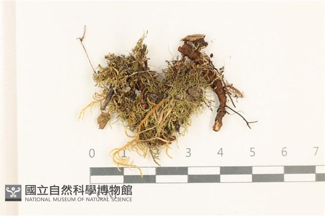 登錄號:B00017408藏品圖，第1張
