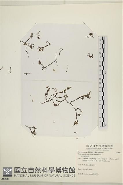 登錄號:A00006908藏品圖，第1張