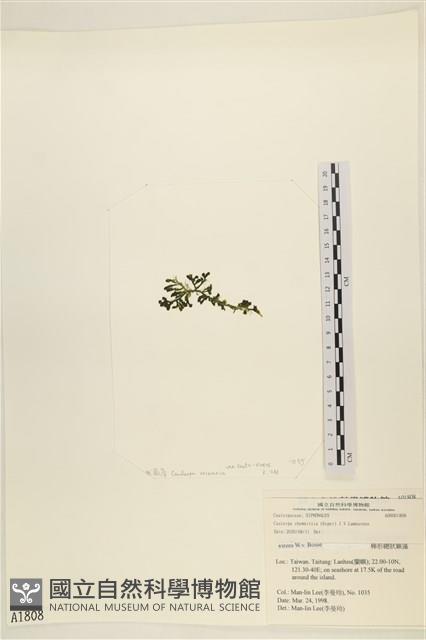 登錄號:A00001808藏品圖，第3張