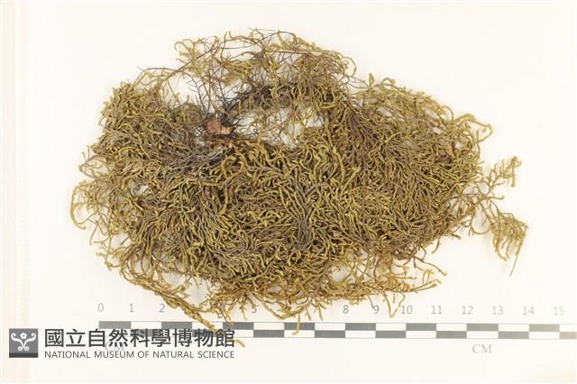 登錄號:B00016708藏品圖，第1張