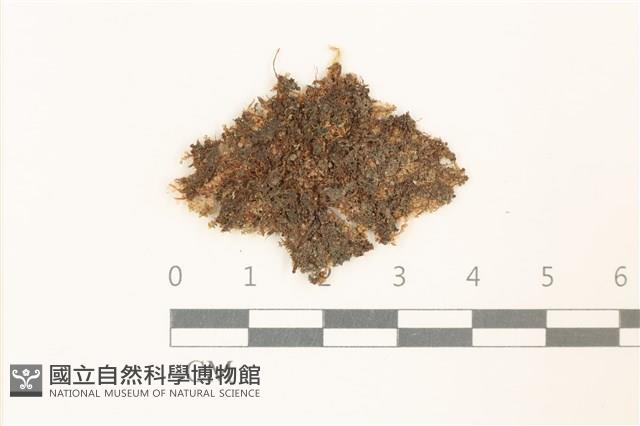 登錄號:B00002688藏品圖，第1張