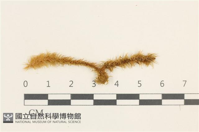 登錄號:B00016688藏品圖，第1張