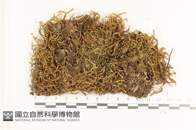 登錄號:B00005688藏品圖，第1張