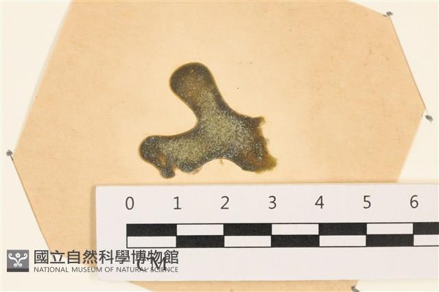 登錄號:A00003688藏品圖，第1張