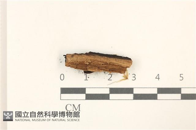 登錄號:B00007288藏品圖，第1張