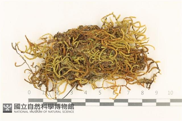 登錄號:B00005288藏品圖，第1張