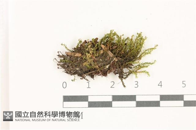 登錄號:B00016188藏品圖，第1張